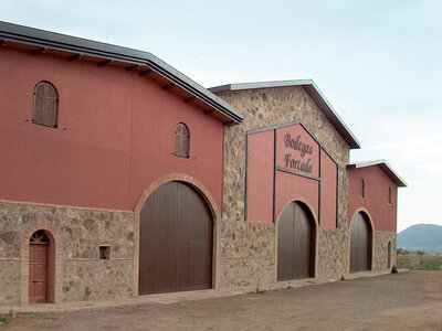 Caja Bodegas Forcada, La Rioja: visita a bodega con cata de vinos para 2 personas