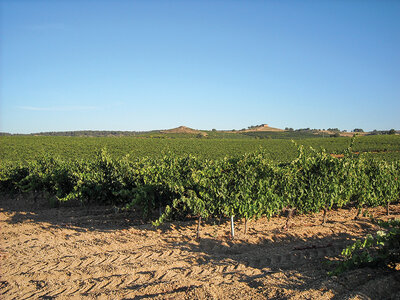Caja Bodegas Abadía La Arroyada: visita a la bodega de 2h y cata de vinos para 2