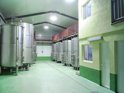 Bodegas Abadía La Arroyada: visita a la bodega de 2h y cata de vinos para 2