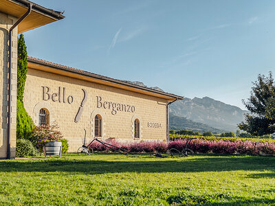 Caja regalo Bodega Bello Berganzo: visita, cata y aperitivo para 2