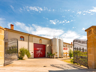 Caja regalo Bodegas Araico, Álava: visita a bodega para 2 personas y cata de 5 vinos