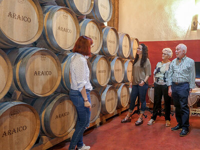 Bodegas Araico, Álava: visita a bodega para 2 personas y cata de 5 vinos