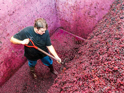 Caja Bodegas Araico, Álava: visita a bodega para 2 personas y cata de 5 vinos