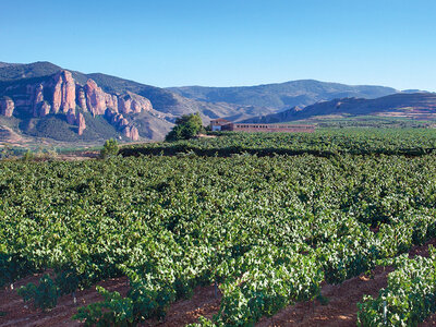 Caja Bodegas Gregorio Martínez: visita a la bodega de 2h y cata de vinos para 2