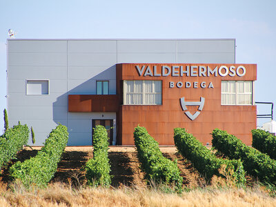 Caja regalo Bodega Valdehermoso, en Valladolid: visita a bodega y cata de vinos