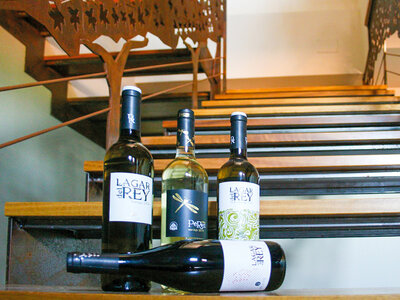 Bodega Valdehermoso, en Valladolid: visita a bodega y cata de vinos