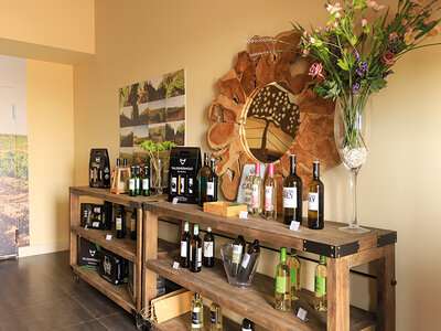 Caja Bodega Valdehermoso, en Valladolid: visita a bodega y cata de vinos