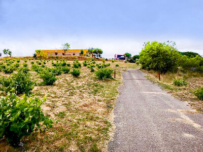 Caja Bodegas Matarredonda: 1 visita a la bodega de 20 min y degustación de vinos para 2