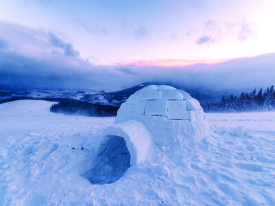 Coffret cadeau 1 nuit en igloo au milieu des montagnes pour 2 adultes et 2 enfants à Davos