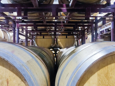 Caja Bodegas Hesvera, D.O. Ribera del Duero: visita a bodega y cata de vinos