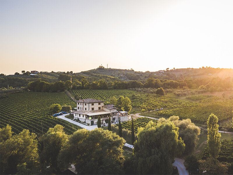 Insieme tra i vigneti del Lazio: 2 notti in Resort con visita in cantina e degustazione vini