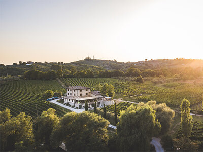 Cofanetto regalo Insieme tra i vigneti del Lazio: 2 notti in Resort con visita in cantina e degustazione vini