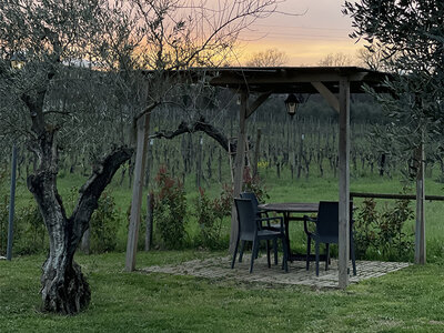 Insieme tra i vigneti del Lazio: 2 notti in Resort con visita in cantina e degustazione vini