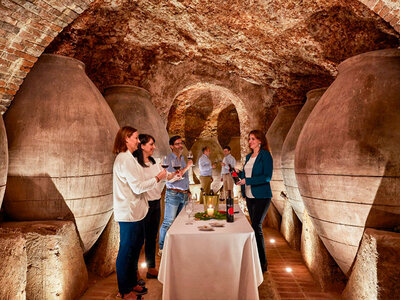 Bodegas y Viñedos Pedro García, Madrid: visita a bodega con cata y botella de regalo