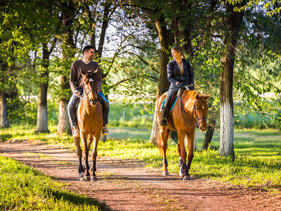 Cofanetto Elettrizzanti avventure sportive nel verde