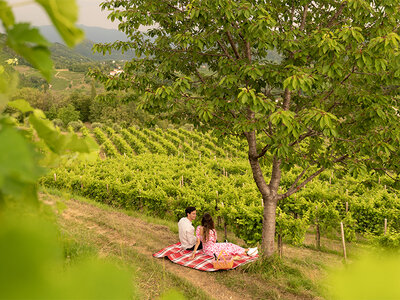 Cofanetto 1 notte in Suite in Villa sulle colline del Prosecco in Veneto con romantico picnic tra le vigne