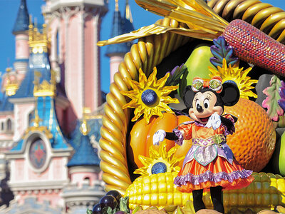 Coffret Disneyland® Paris : entrée Super Peak pour 1 adulte (2 parcs)