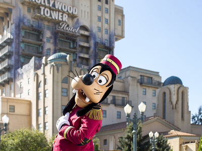 Disneyland® Paris: Super Peak-ticket voor 1 persoon (1 park)