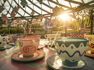 Coffret Disneyland® Paris : entrée Super Peak pour 1 adulte (1 parc)