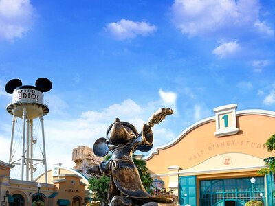 Coffret Disneyland® Paris : entrée Super Peak pour 1 enfant (1 parc)