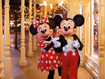 Coffret cadeau Disneyland® Paris : entrée Super Peak pour 2 adultes (1 parc)