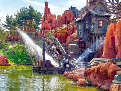 Coffret cadeau Disneyland® Paris : entrée Super Peak pour 2 adultes et 1 enfant (1 parc)