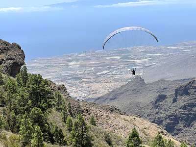 Caja 1 vuelo en parapente en Tenerife de 1000 m de altura de 25 min para 2