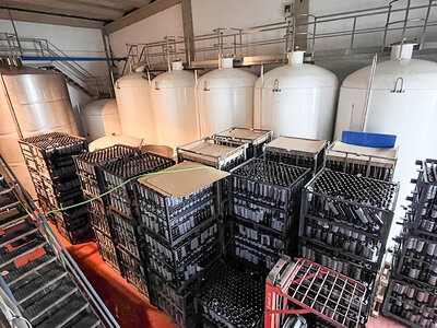 El Mosaico de Baco, Burgos: visita a viñedo y bodega y cata para 2 personas