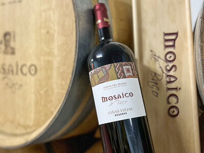 Caja El Mosaico de Baco, Burgos: visita a viñedo y bodega y cata para 2 personas