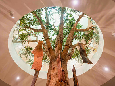 Caja Planet Cork Museum, Portugal: 2 entradas de 90 minutos