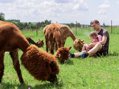 Box Tierischer Spaß im Erlebnispark Starkenberg: Geschenkbox für Tierliebhaber