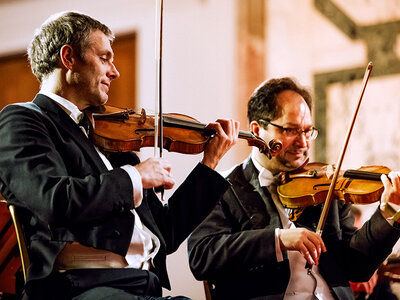 Box Strauss und Mozart live erleben: Klassik-Konzert in der Wiener Hofburg