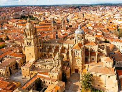 ¡Salamanca desde el aire!: 1 vuelo en globo de 1 hora con brindis y pícnic para 1