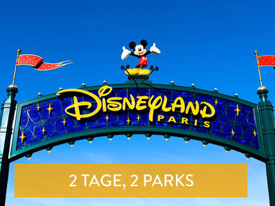 Geschenkbox Tickets für 2 Disney® Parks für 1 Erwachsenen für 2 Tage