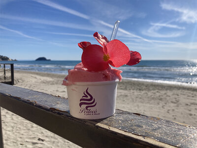 Cofanetto Delizie in riva al mare ad Alassio: degustazione di 5 gelati gourmet ai fiori per 2 persone