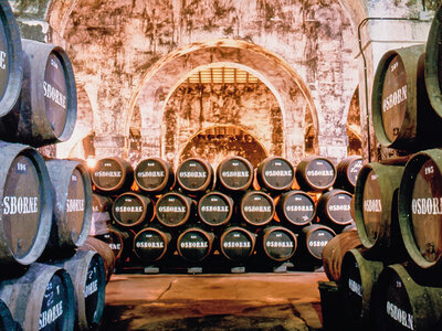 Caja regalo Bodegas Osborne - El Puerto de Santa María: visita a bodega de 1h30 min con cata de vinos