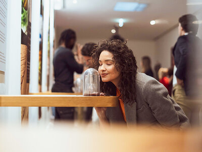 Caja regalo The Chocolate Story Museum, Portugal: visita de 1h30 min y degustación de chocolate