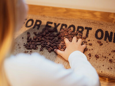 The Chocolate Story Museum, Portugal: visita de 1h30 min y degustación de chocolate