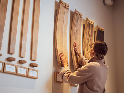 Caja The Wine Experience Museum, Portugal: acceso de 1h30 y degustación de 3 vinos
