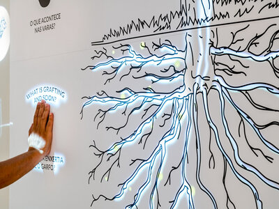 The Wine Experience Museum, Portugal: acceso de 1h30 y degustación de 3 vinos