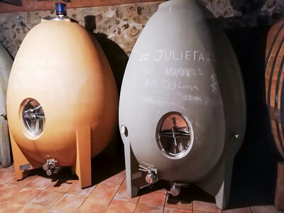 De bodegas en Tarragona: visita guiada y cata de vinos