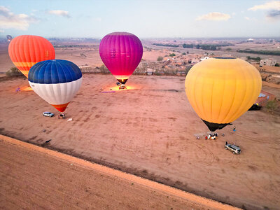 Boks Luftballon over palmelunden i Marrakech for 2