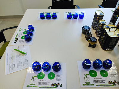 Caja Plan triple en Almería: visita a OleoAlmanzora, a Geoda de Pulpí 
y Castillo de Terreros