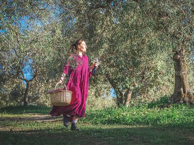 Cofanetto Originale serata con aperitivo e pittura su tela al tramonto tra gli ulivi in Sardegna