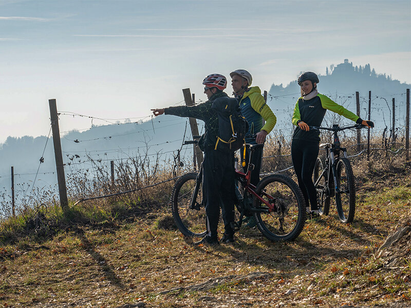 Tour in e-bike tra i vigneti di Montevecchia e degustazione di 4 calici di vino per 1