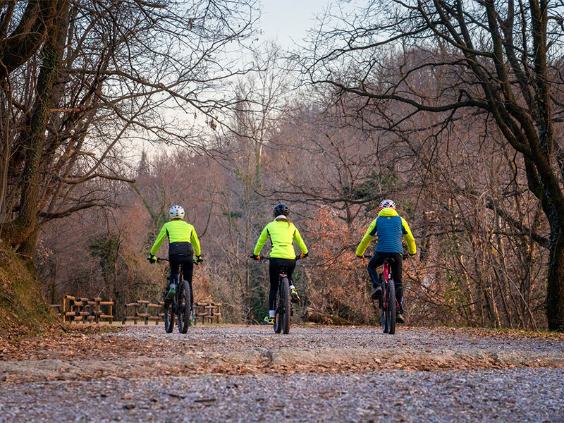 Tour in e-bike tra i vigneti di Montevecchia e degustazione di 4 calici di vino per 2