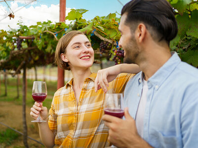 Caja ¡La Rioja para bebérsela!: visita a bodega D.O. Rioja y cata de vinos para 2 personas