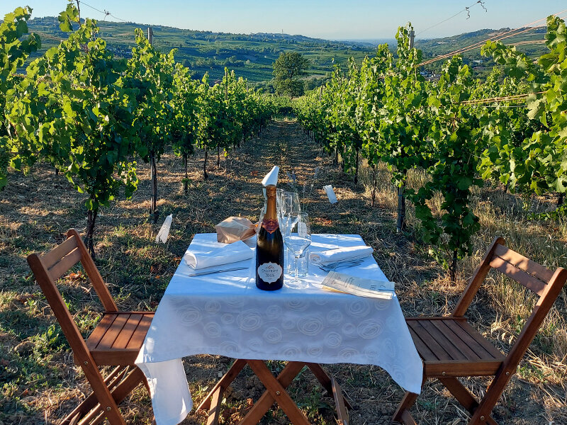 Delizioso aperitivo tra i vigneti in Lombardia con visita guidata alla cantina