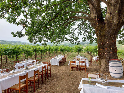 Cofanetto Cena romantica nel vigneto con tour guidato della cantina e delle vigne in Lombardia
