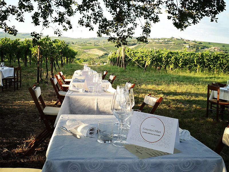 Cena romantica nel vigneto con tour guidato della cantina e delle vigne in Lombardia